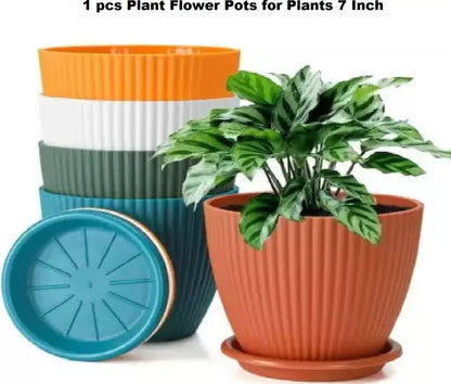 Plant Container 4 Set  (Plastic)